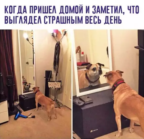 Смешная картинка №222679