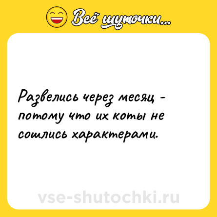 Шутка: Развелись через месяц - потому что их коты не сошлись характерами.