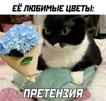 Смешная картинка №747881 Женщины