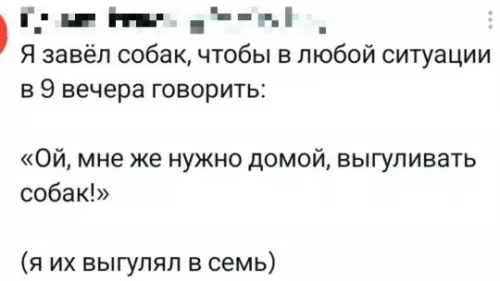 Идеальный план, как уйти с вечеринки 🐶 - Я завёл собак, чтобы в любой ситуации в 9 вечера