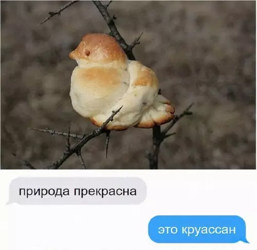 Смешная картинка №736349