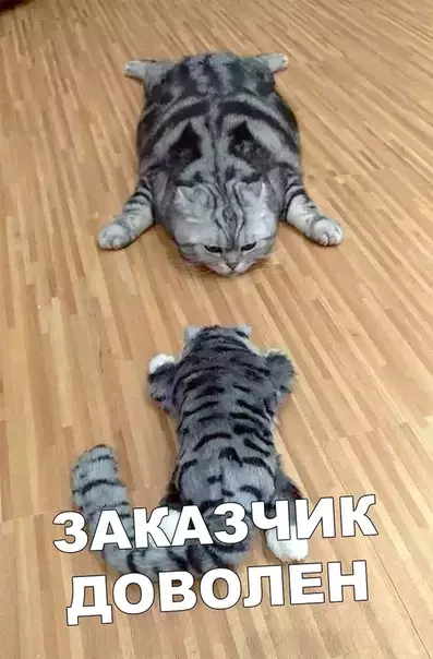 Смешная картинка №404212