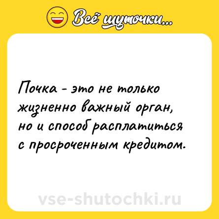 Шутка: Почка - это не только жизненно важный орган, но и способ расплатиться с просроченным кредитом.