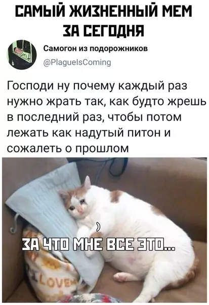 Смешная картинка №373091
