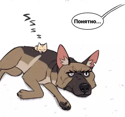 продолжение Смешная картинка №563023 Брут