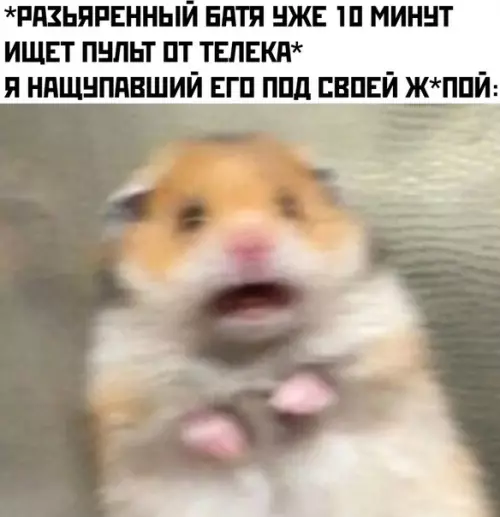 Смешная картинка №370480