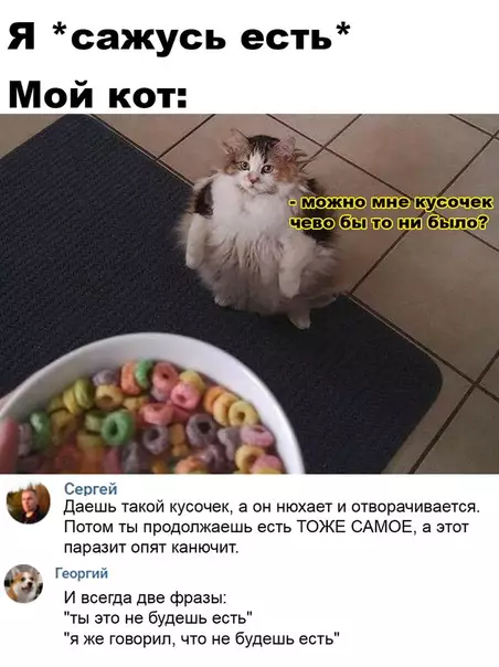 Смешная картинка №534868 Жизненная жиза