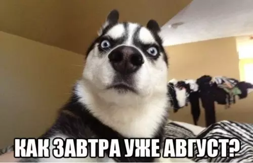 Смешная картинка №198972
