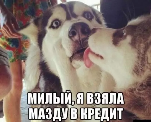 Смешная картинка №304265