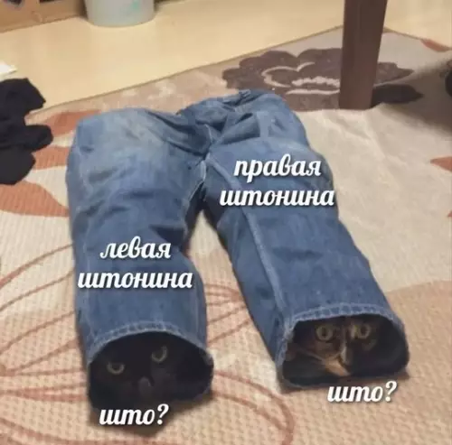 Смешная картинка №742643