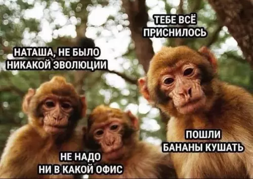Смешная картинка №714496
