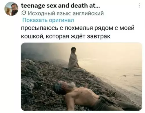 Утро после вписки — это всегда так 💀 - просыпаюсь с похмелья рядом с моей кошкой, которая ждет завтрак