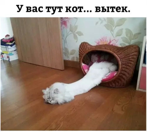 Смешная картинка №340270
