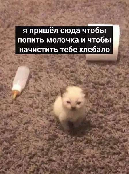 Смешная картинка №437647