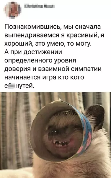 Смешная картинка №354537