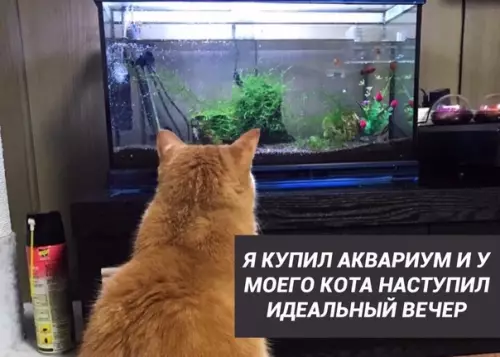 Смешная картинка №423901 «Двойное удовольствие»