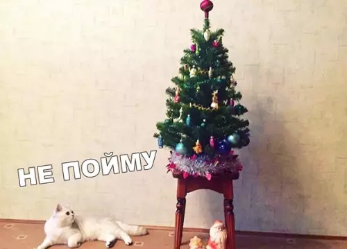 Смешная картинка №415687 В доме должна быть только одна звезда кот и елка, елка, коты