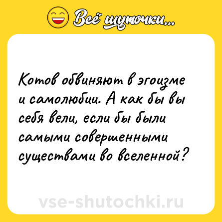 Шутка: Котов обвиняют в эгоизме и самолюбии. А как бы вы себя вели, если бы были самыми совершенными существами во вселенной?
