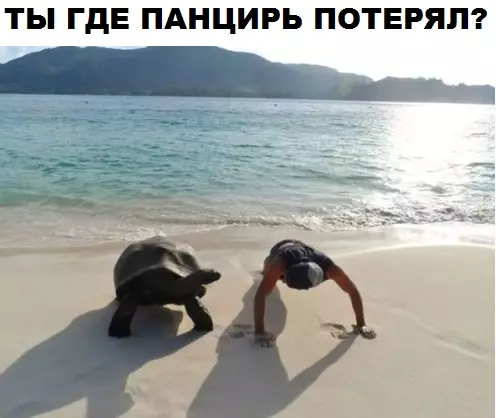 Смешная картинка №312717