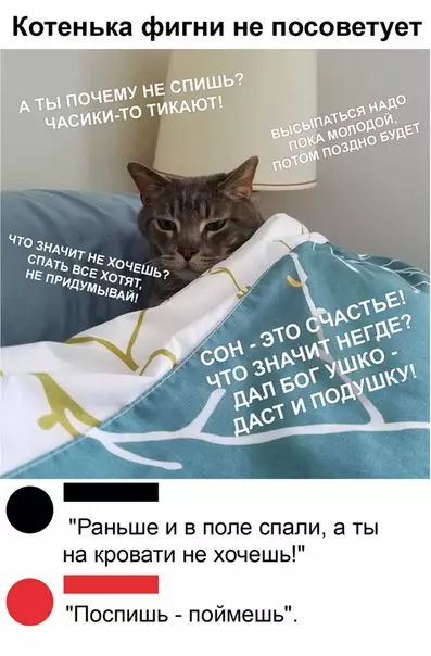 Смешная картинка №495083 Где ж ты раньше был, кот?!