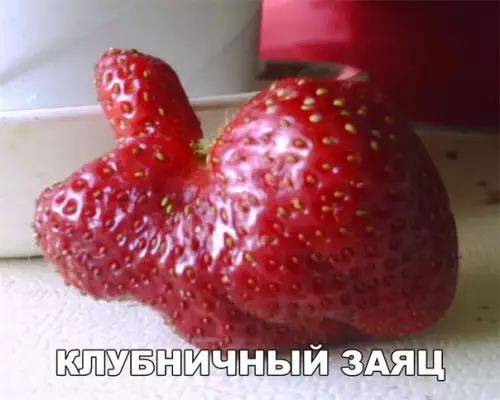 Смешная картинка №250276