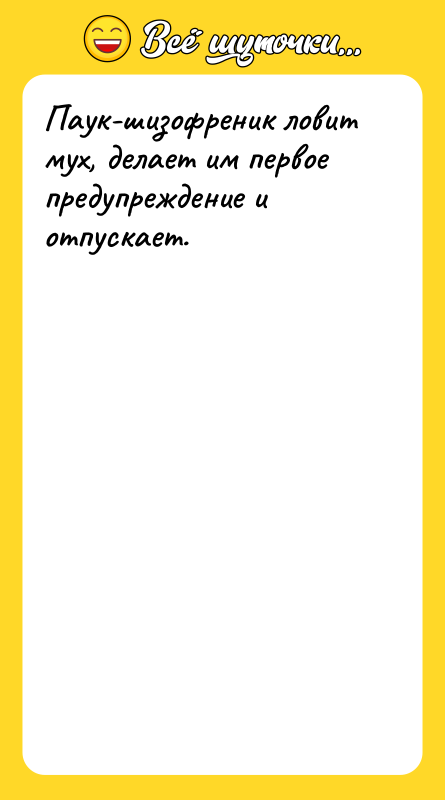 Паук-шизофреник ловит мух, делает им первое предупреждение и отпускает.