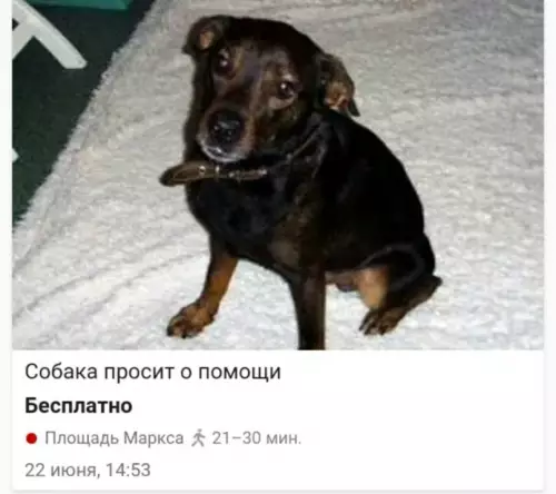 Смешная картинка №649217 Когда закончил институт и выложил свое первое резюме.