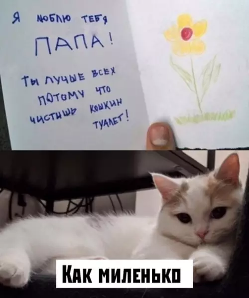 Смешная картинка №486113 дети