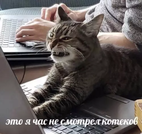 Смешная картинка №714592