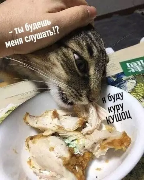 продолжение Смешная картинка №573916 "Вижy цeль — нe вижy пpeпятствий."