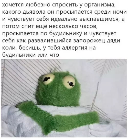 Смешная картинка №449306 Жизненной боли пост