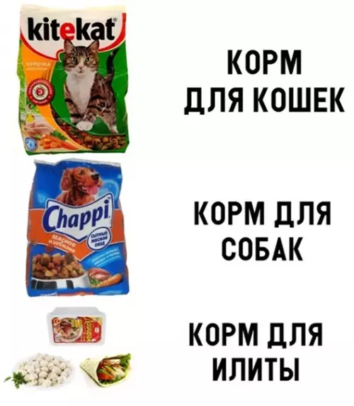 Смешная картинка №299477