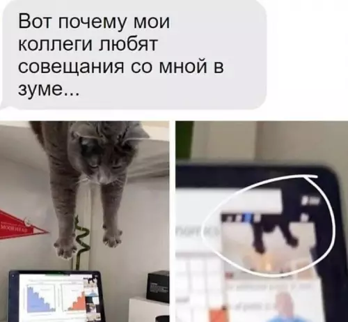 Смешная картинка №753910