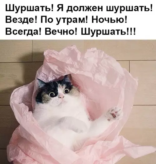 Смешная картинка №329396