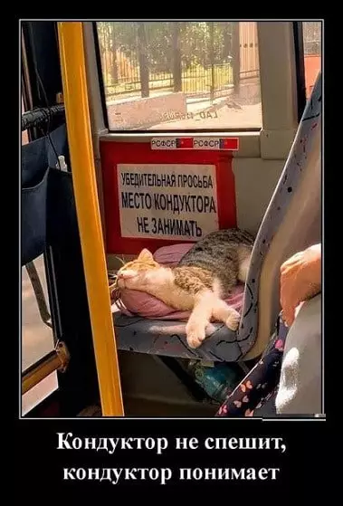 Смешная картинка №684873