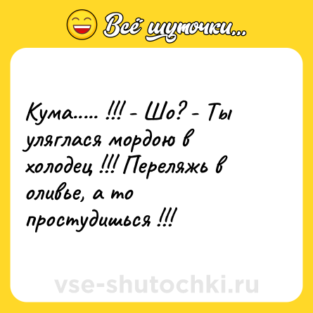 Шутка: Кума..... !!! - Шо? - Ты уляглася мордою в<br>холодец !!! Переляжь в оливье, а то<br>простудишься !!!