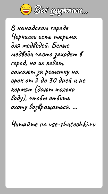 История: В канадском городе Черчилле есть тюрьма для медведей. Белые медведи часто заходят в город, но их ловят, сажают за решетку