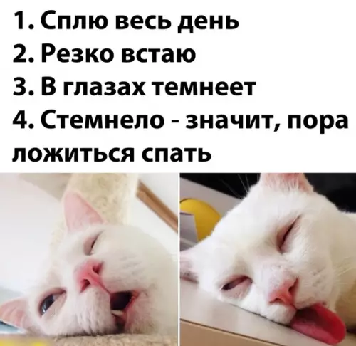 Смешная картинка №537128