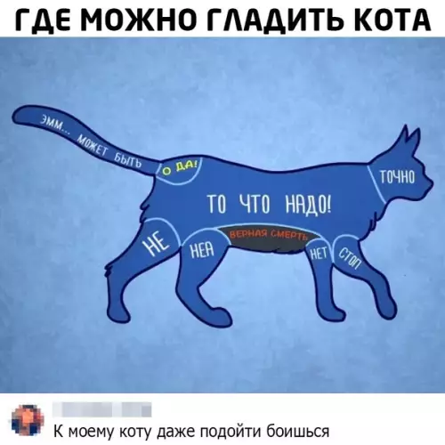 Смешная картинка №550951