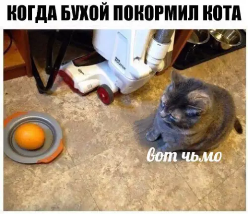 Смешная картинка №256808