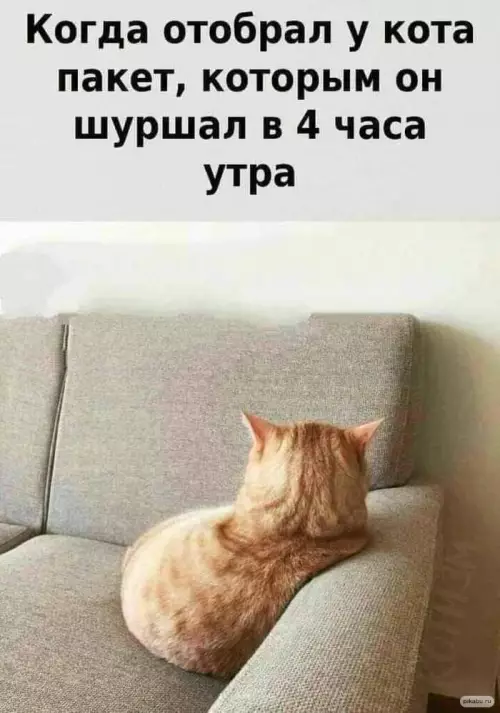 Смешная картинка №653813