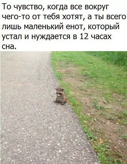 Смешная картинка №234932