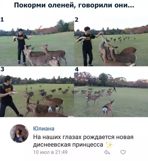 Смешная картинка №288662