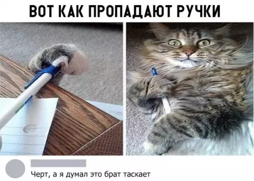 Смешная картинка №300510