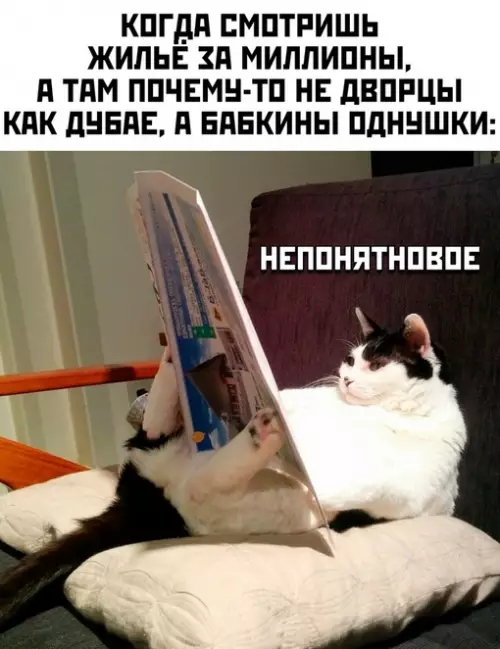 Смешная картинка №703386