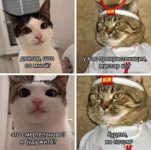 Смешная картинка №768250