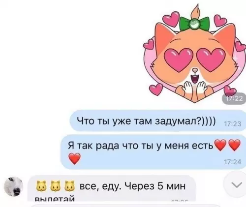 продолжение Смешная картинка №576104 От любимого котика до больного ублюдка, всего две банки консервов.