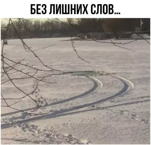 Смешная картинка №241609