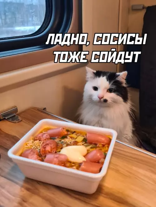 продолжение Смешная картинка №665775