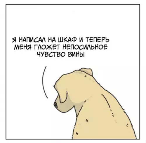 Смешная картинка №564436 Xoчy быть, кaк кoт
